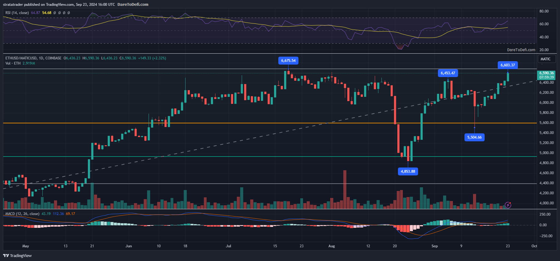 Position Tracking Weekly Review: Key Indicator Monitoring for w12d1